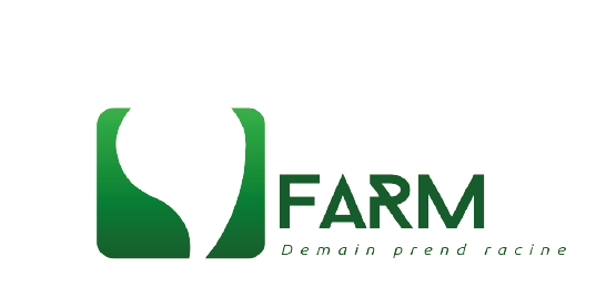 Partner 3