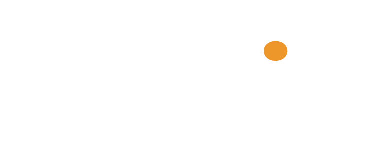 Partner 6